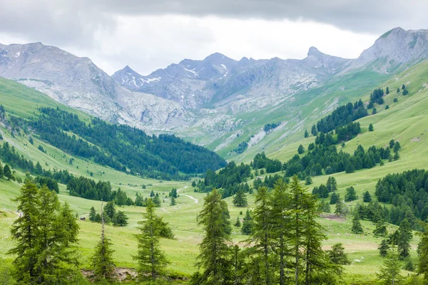 Vallon du lauzanier, mercantour nationalpark, frankreich — Stockfoto