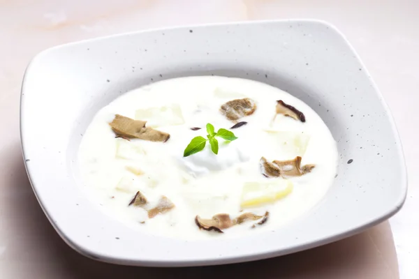 Mushroom soup — Stock Photo, Image