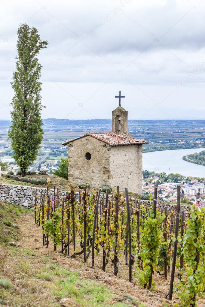 Grand cru vineyard and Chapel of St. Christopher, L'Hermitage, R