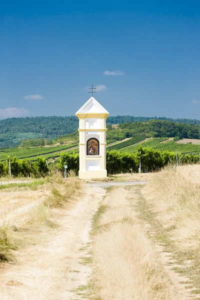God's torture with vineyard near Retz, Lower Austria — Stock Photo, Image