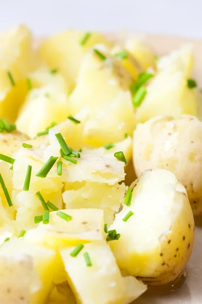 Boiled unpeeled potatoes with chives — Stock Photo, Image