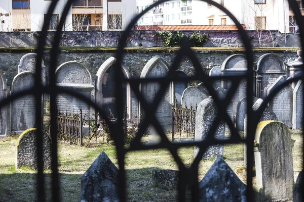 Jewish cemetery, Hermanuv Mestec, Czech Republic — Stock Photo, Image