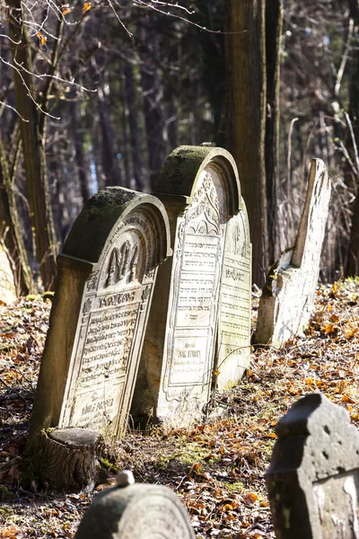 ユダヤ人墓地、デリューズ、チェコ — ストック写真