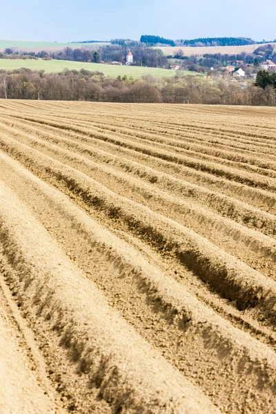 Paesaggio con campo, Repubblica Ceca — Foto Stock