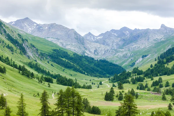 Vallon du Lauzanier, Parque Nacional del Mercantour, Francia —  Fotos de Stock