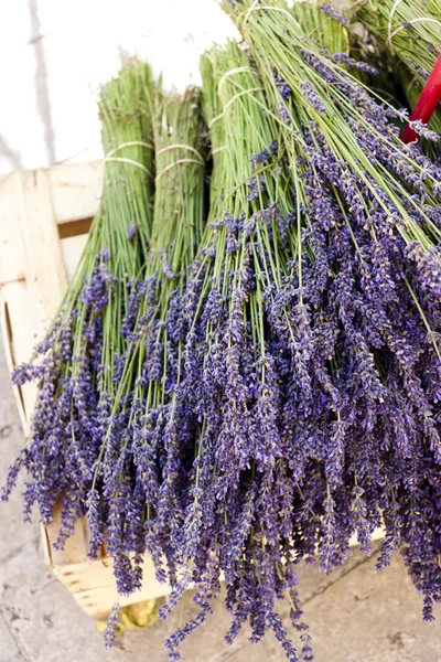 Bouquet de lavandes, marché de Nyons, Rhône-Alpes, France — Photo