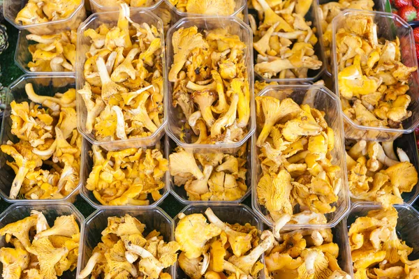 Chanterelles, market in Forcalquier, Provence, France — Stock Photo, Image