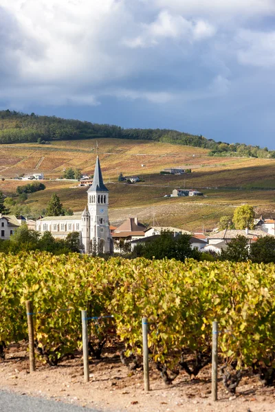 Chenas with vineyard, Beaujolais, Rhone-Alpes, France — Stock Photo, Image