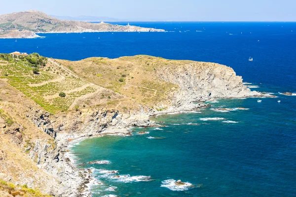 Cote Vermeille, Languedoc-Roussillon, Fransa bağında — Stok fotoğraf