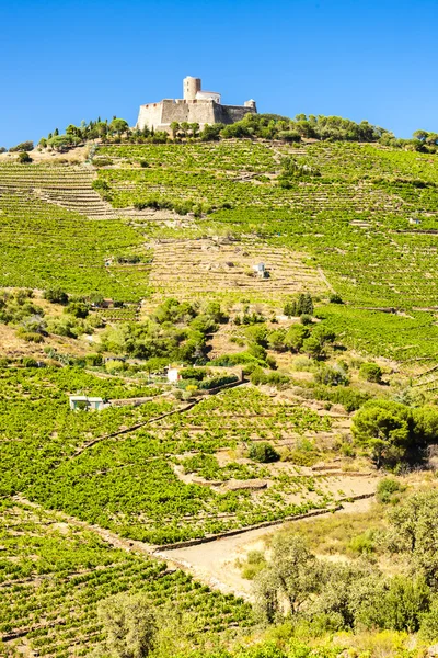 Fortezza Saint Elme, Languedoc-Roussillon, Francia — Foto Stock