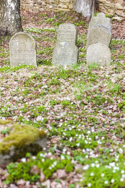 Cimitero ebraico, Batelov, Repubblica Ceca — Foto Stock