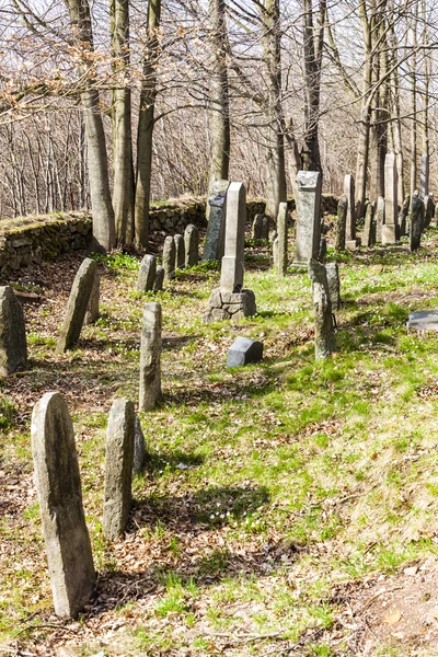 Еврейское кладбище, Бателов, Чехия — стоковое фото