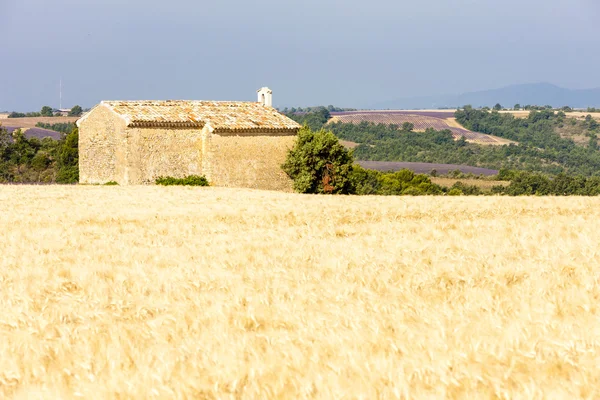 Capela com campo de cereais perto de Entrevennes — Fotografia de Stock