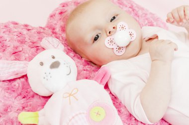 3 aylık bebek kız bir oyuncakla portresi