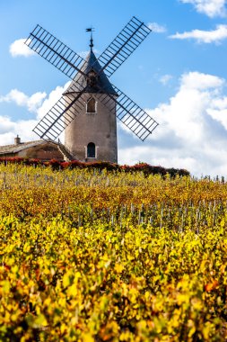 Bağ Chenas, Beaujolais, Rhône-Alpes yakınındaki yel değirmeni ile