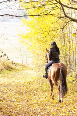 sonbahar doğa sırtında binicilik