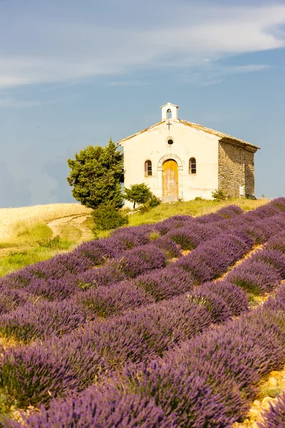 Kapell med lavendel fält, platå de valensole, provence, fran — Stockfoto