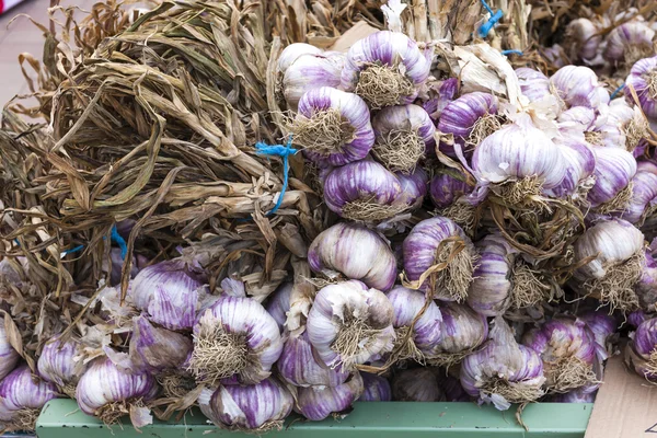 Garlic, market in Nyons, Rhone-Alpes, France — Stock Photo, Image