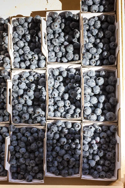 Raspberries and blueberries, market in Nyons, Rhone-Alpes — Stock Photo, Image