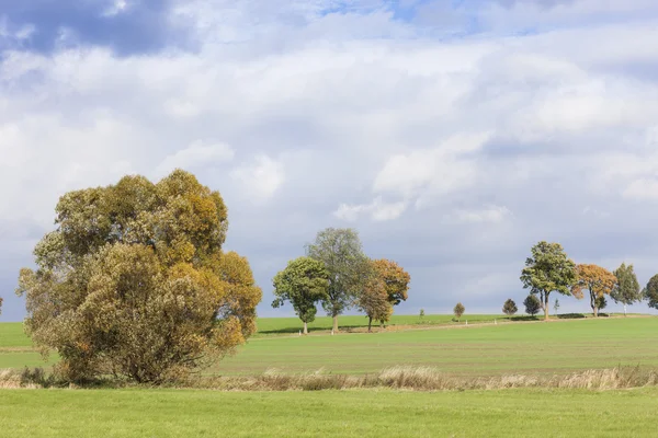 Herfst landschapsmening — Stockfoto