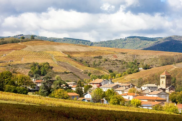 Wieś Salles-Arbuissonnas-en-Beaujolais w z winnicy — Zdjęcie stockowe