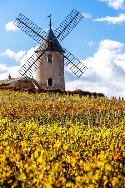 Viñedo con molino de viento cerca de Chenas, Beaujolais, Rhone-Alpes — Foto de Stock