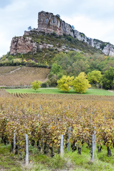 Solutre Rock with vineyard, Burgundy, France — Stock Photo, Image