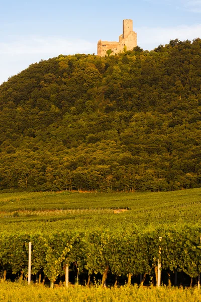 Castillo Ortenbourg, Alsacia, Francia —  Fotos de Stock