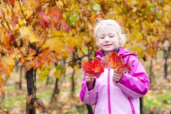 Little girl in autumnal vineyard — Stock Photo, Image