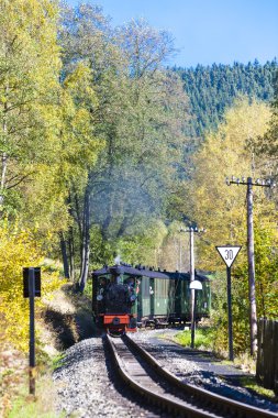 buhar tren, steinbach - johstadt, Almanya