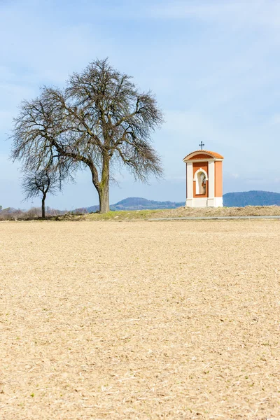 God 's torture in Kokorin Region, Czech Republic — стоковое фото