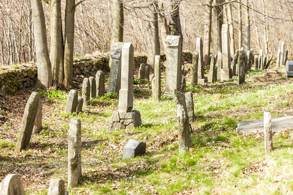 Еврейское кладбище, Бателов, Чехия — стоковое фото