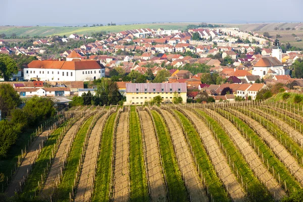 Cejkovice mit Weinberg, Tschechische Republik — Stockfoto