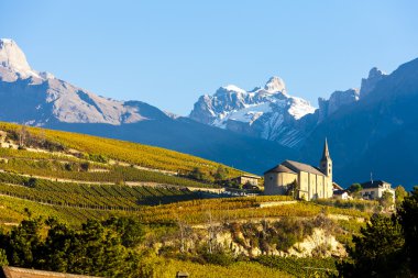 üzüm bağları Conthey, Sion bölge, Kanton Valais, S kilisede aşağıda