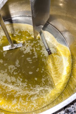 Şarap hasat, Güney Moravia sırasında üzüm suyu