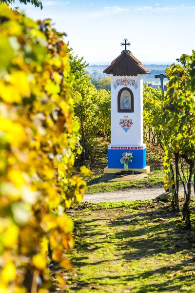 Gottes Folter mit Weinberg bei Nechory, Tschechische Republik — Stockfoto