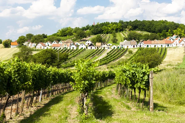 Wijnkelders met wijngaarden, Galgenberg, Neder-Oostenrijk, Oostenrijk — Stockfoto