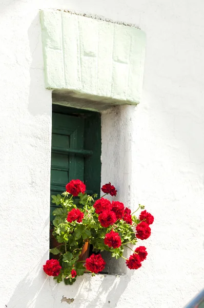 Fenster mit Geranien — Stockfoto