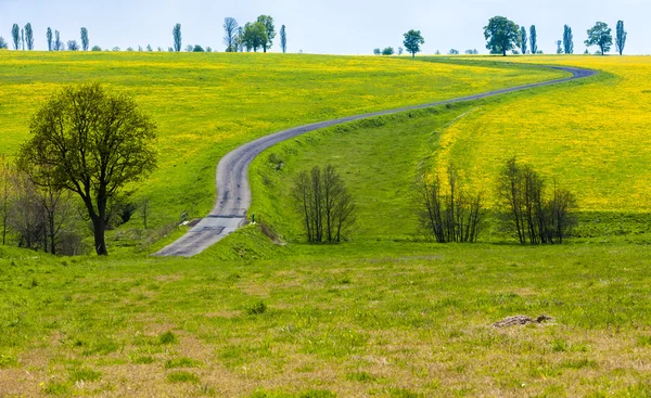 Paisagem de primavera com uma estrada — Fotografia de Stock