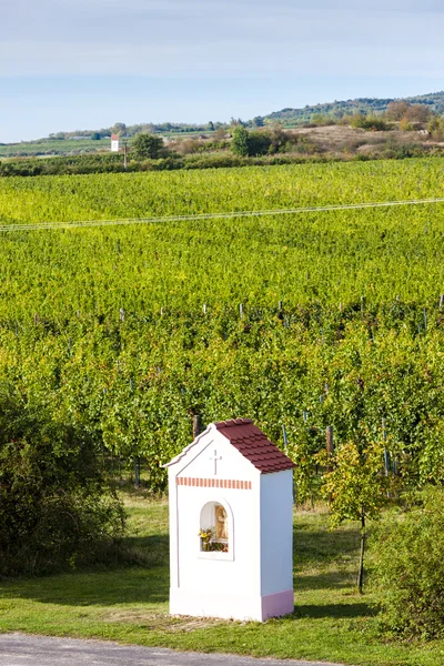 La torture de Dieu près de Hnanice avec vignoble automnal — Photo