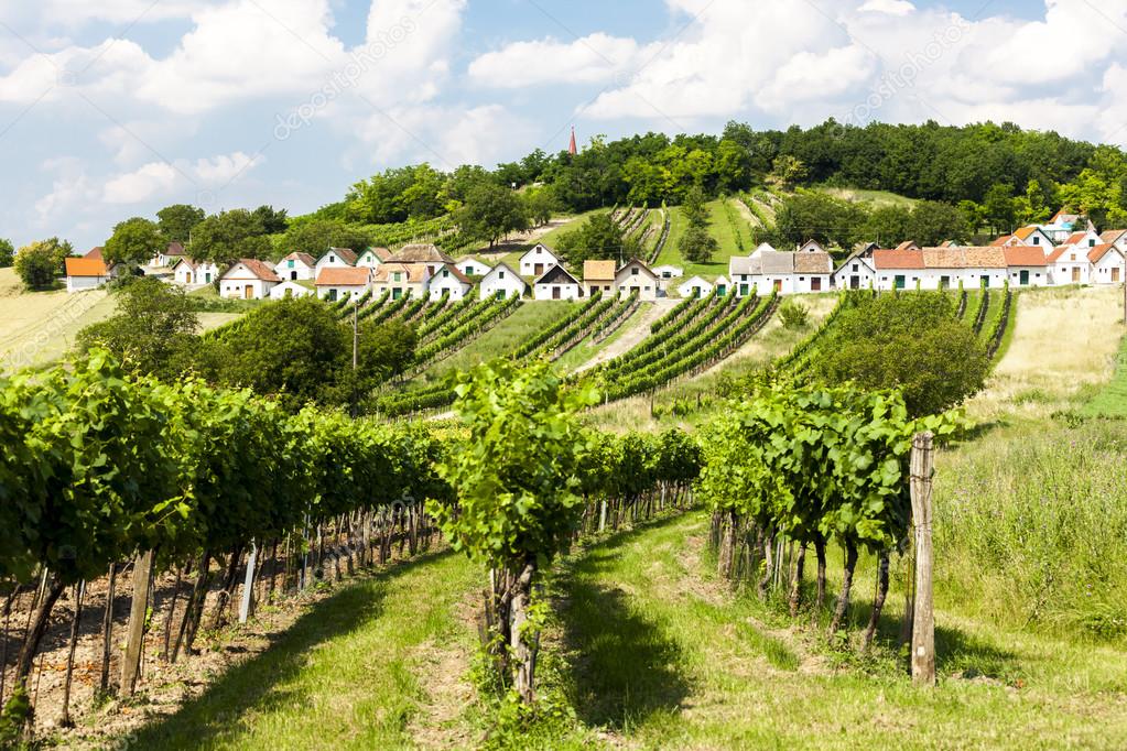 wine cellars with vineyards, Galgenberg, Lower Austria, Austria