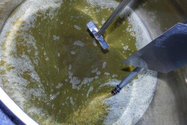 Şarap hasat, Güney Moravia sırasında üzüm suyu