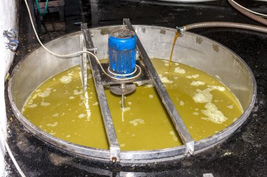 Şarap hasat, Güney Moravia sırasında üzüm suyu