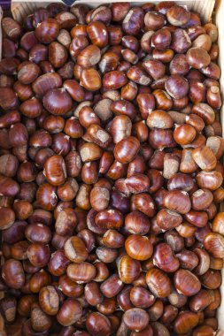chestnuts, market in Forcalquier, Provence, France