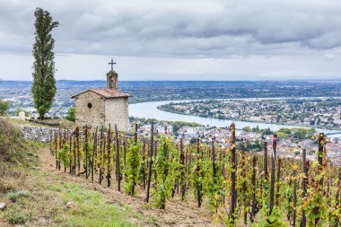 Grand cru bağ ve Aziz Christopher Şapel, L'Hermitage