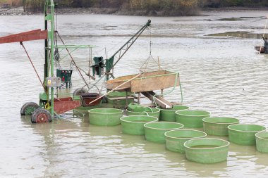 view of Harvesting pond