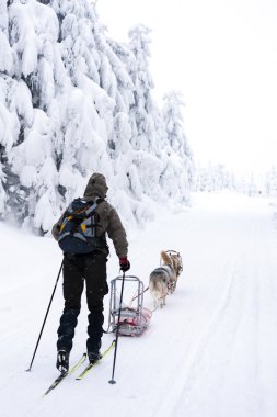 Sedivacek 'in uzun, Çek Cumhuriyeti kızak yarışı