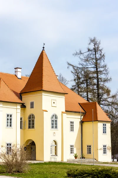 Дворец Кнежице, Чешская Республика — стоковое фото