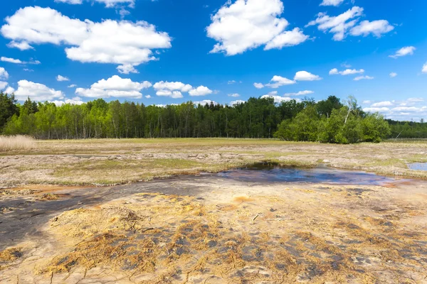 soos denilen doğa rezerv