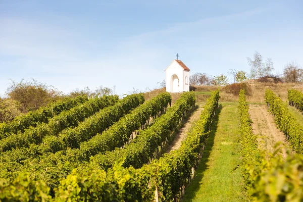 Tortura de Dios cerca de Hnanice con viñedo, Moravia del Sur — Foto de Stock
